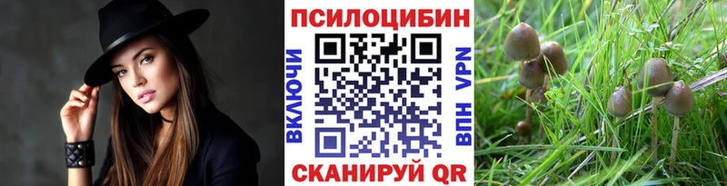 Псилоцибиновые грибы ЛСД  Видное 